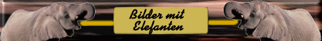 elefanten-welt