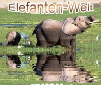 http://www.elefanten-welt.de/images/fuer_dich/geschenk_wasser_01a.gif